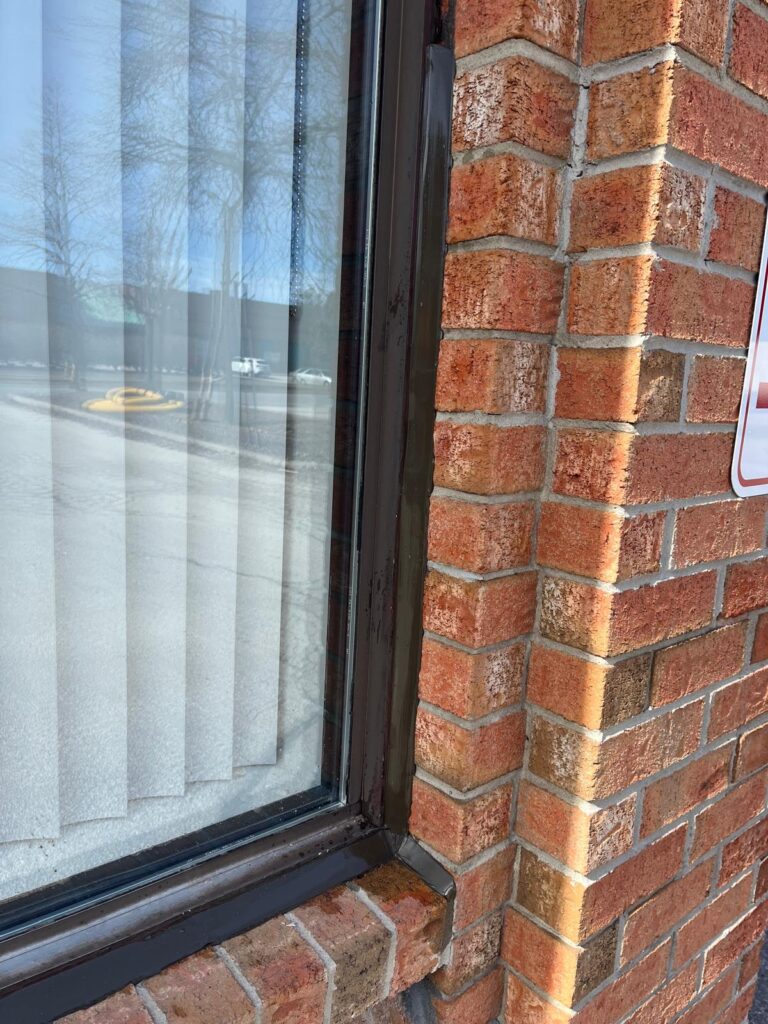 WhatsApp Image 2025-04-11 at 11.40.59 PM (2)