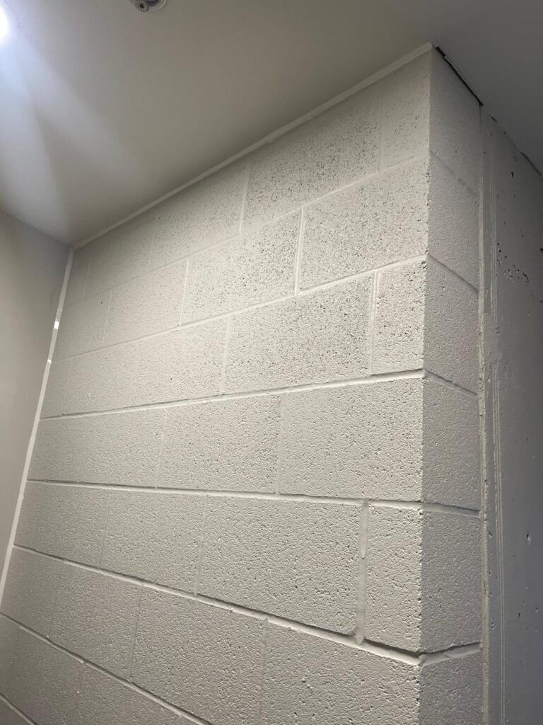 WhatsApp Image 2025-04-11 at 11.40.59 PM (7)